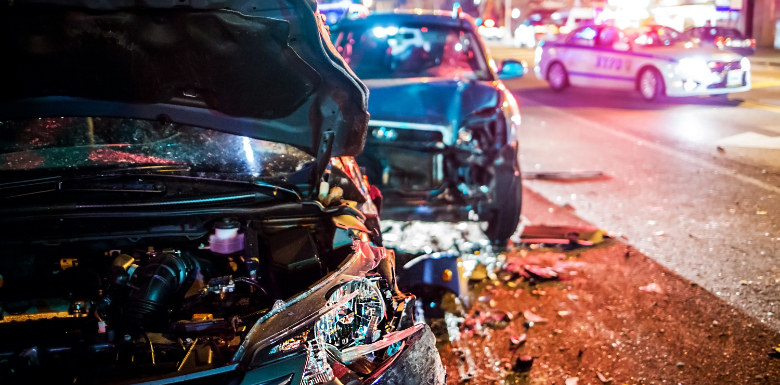 pet injured in car accident