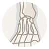 Foot / Ankle Injuries